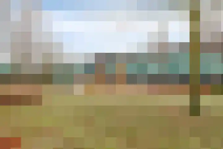 Grasklokje 17 Eindhoven thumbnail 38