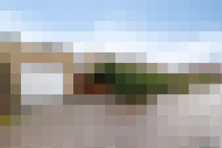 Grasklokje 17 Eindhoven thumbnail 4
