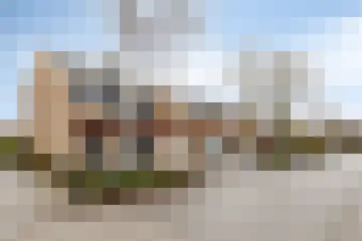 Grasklokje 17 Eindhoven thumbnail 5