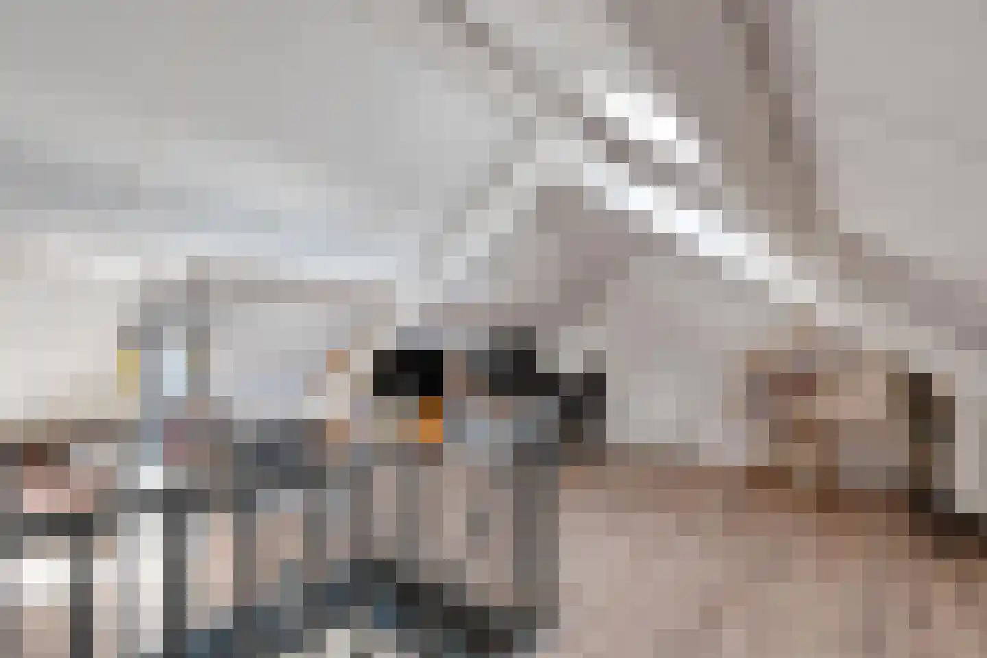 Grasklokje 23 Dalfsen thumbnail 34