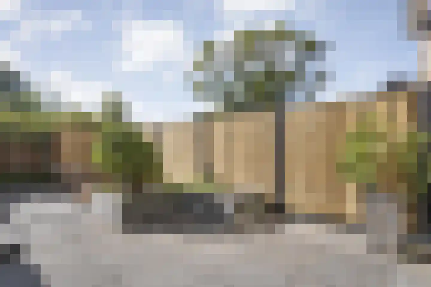 Grasklokje 23 Dalfsen thumbnail 36