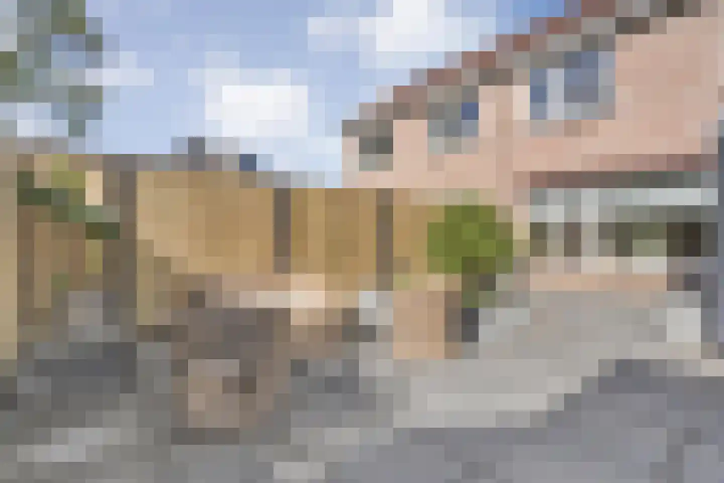 Grasklokje 23 Dalfsen thumbnail 39