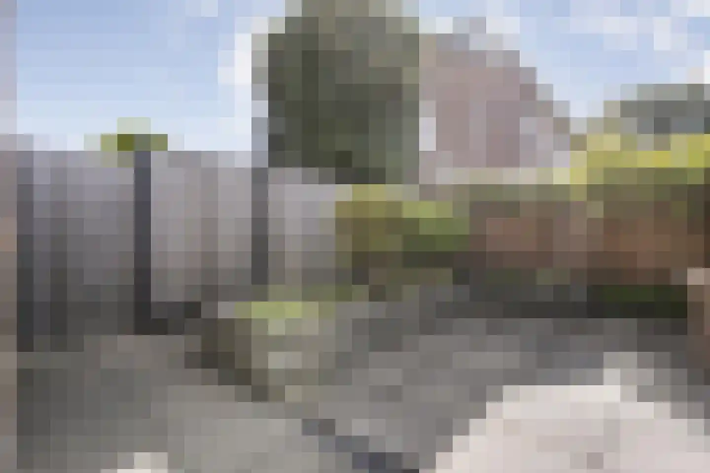 Grasklokje 23 Dalfsen thumbnail 5