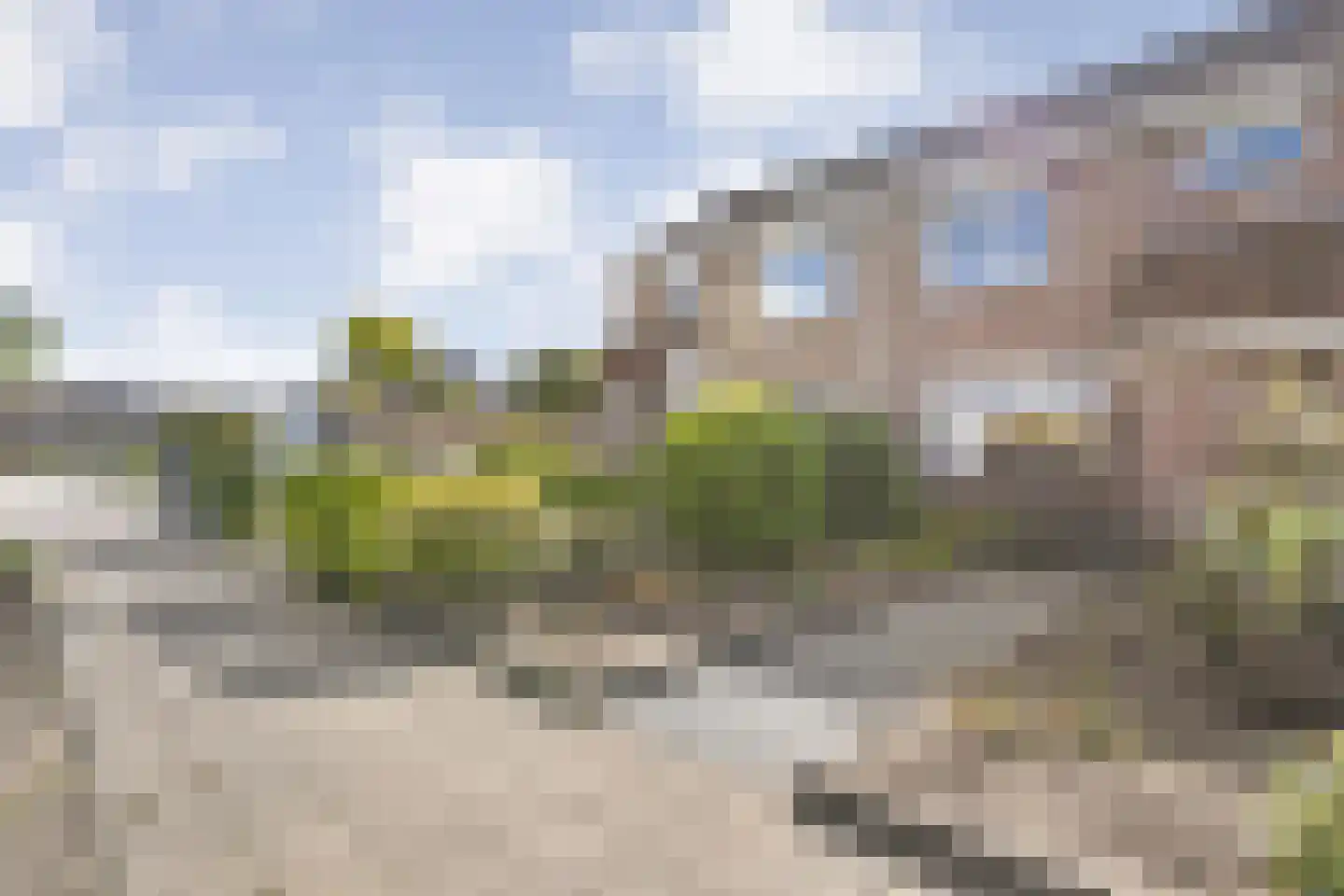 Grasklokje 23 Dalfsen thumbnail 6