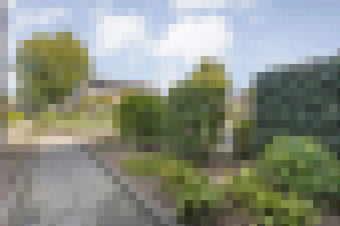 Grasklokje 23 Dalfsen thumbnail 7