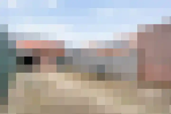 Grasklokje 32 Hardenberg thumbnail 32