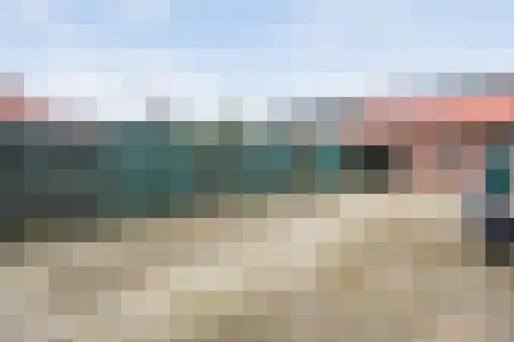 Grasklokje 32 Hardenberg thumbnail 33