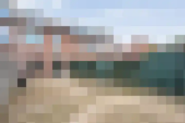Grasklokje 32 Hardenberg thumbnail 34