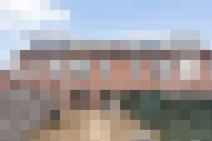 Grasklokje 32 Hardenberg thumbnail 36