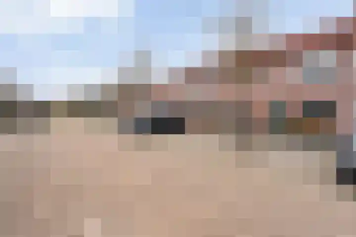 Grasklokje 32 Hardenberg thumbnail 4