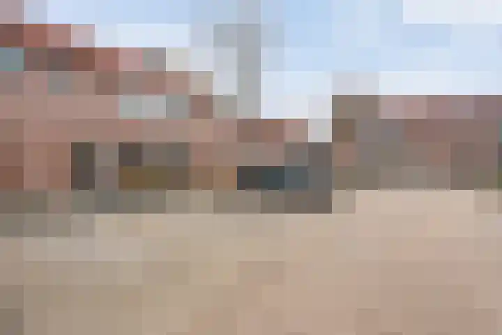 Grasklokje 32 Hardenberg thumbnail 5