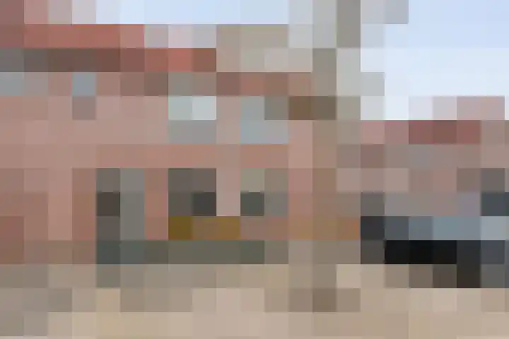Grasklokje 32 Hardenberg thumbnail 6