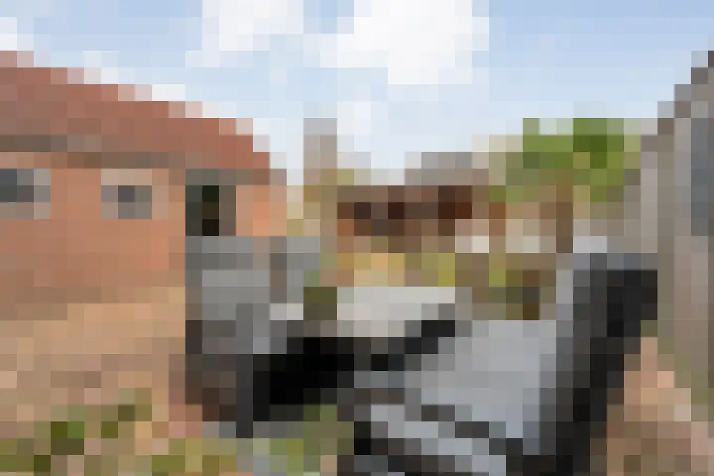 Grasklokje 36 Hardenberg thumbnail 45