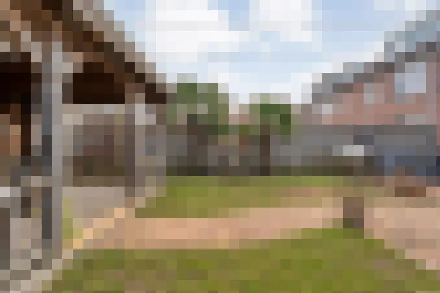 Grasklokje 36 Hardenberg thumbnail 49