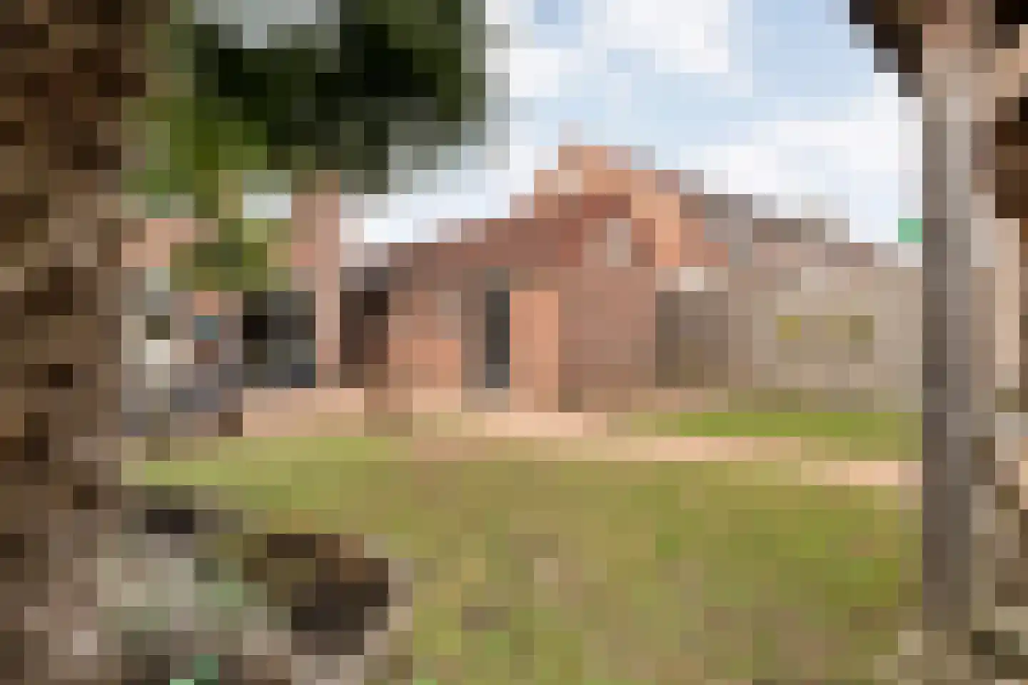 Grasklokje 36 Hardenberg thumbnail 53