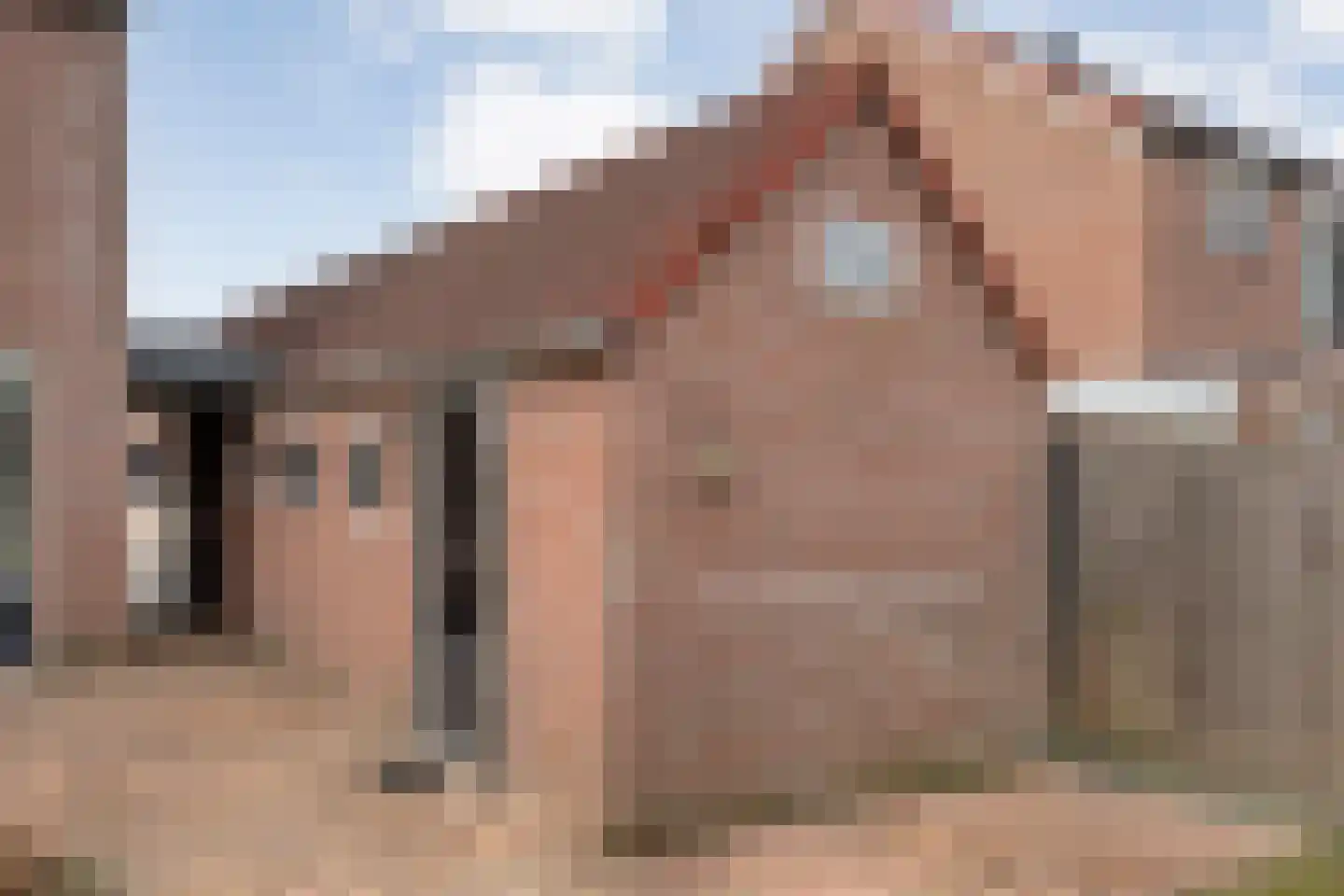 Grasklokje 36 Hardenberg thumbnail 54