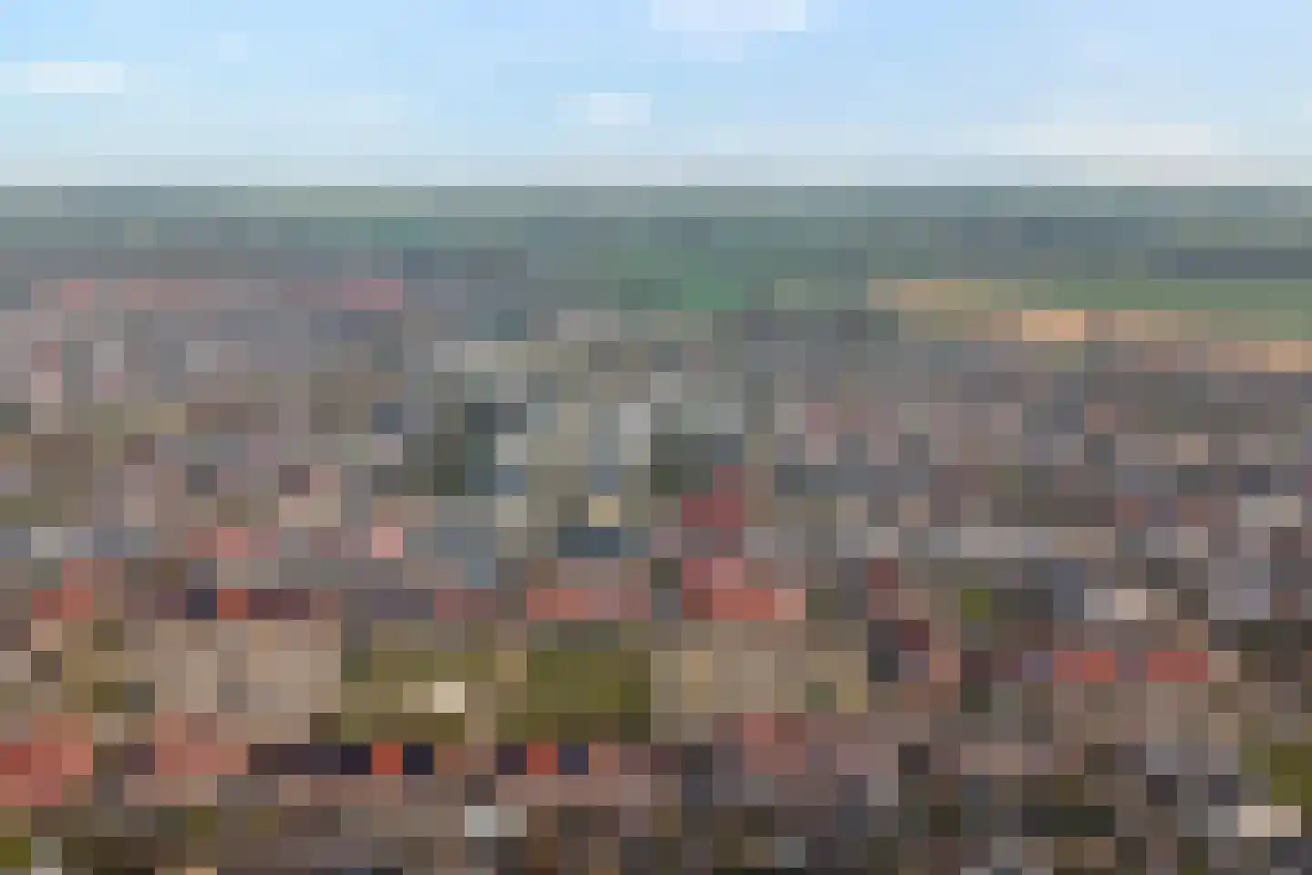 Grasklokje 36 Hardenberg thumbnail 6