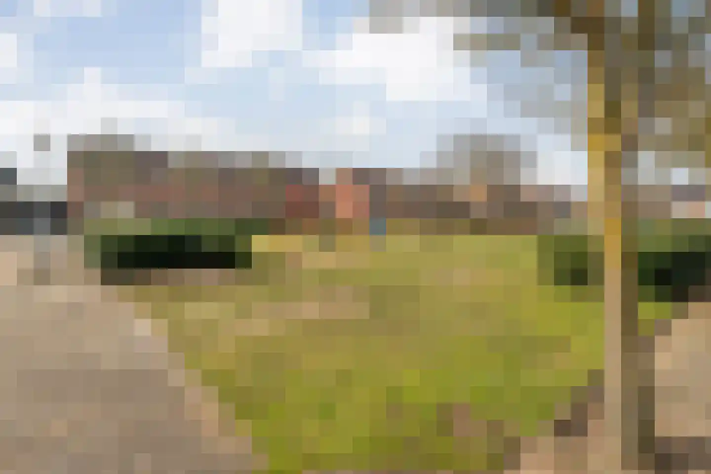 Grasklokje 36 Hardenberg thumbnail 60