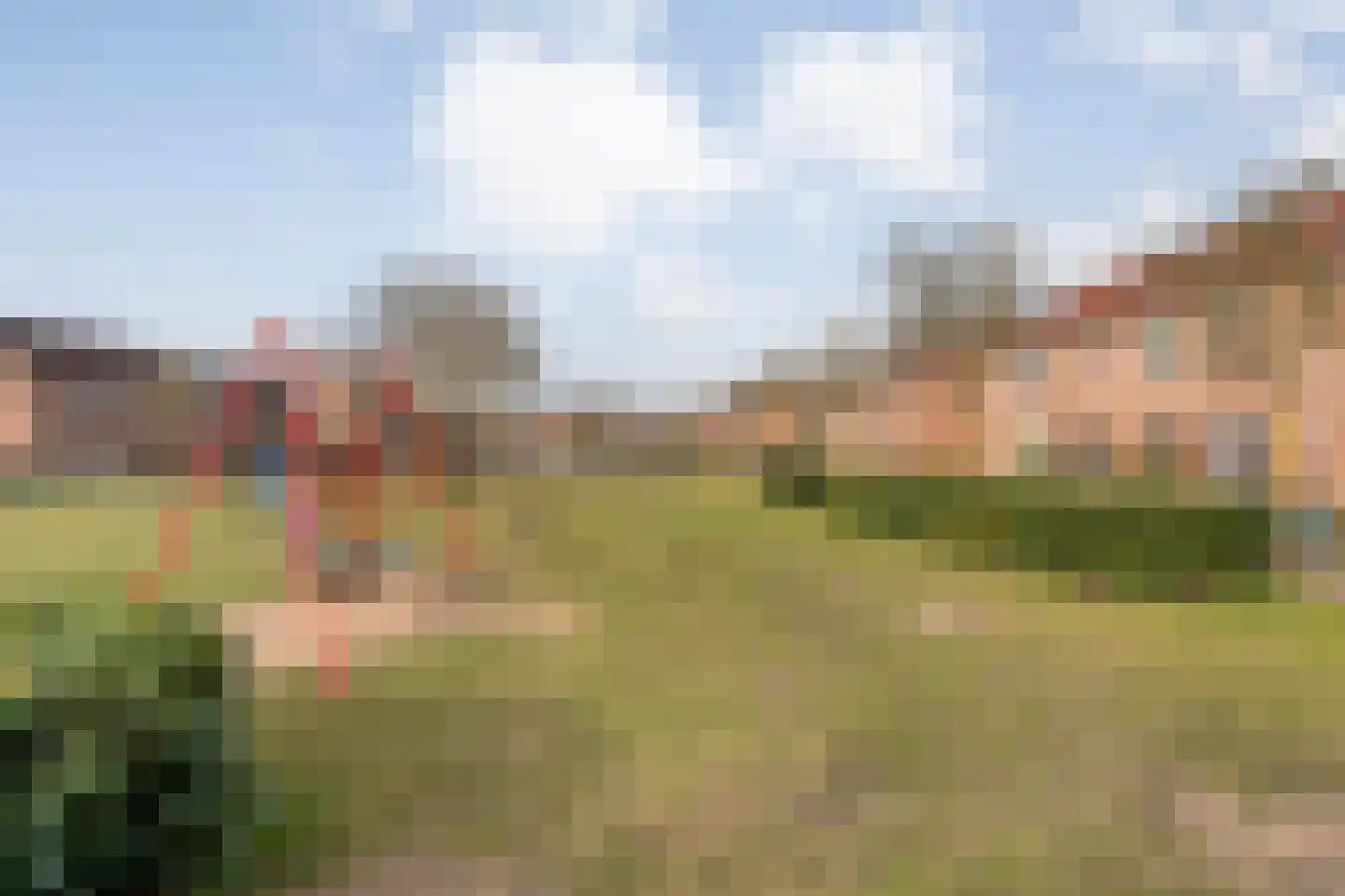 Grasklokje 36 Hardenberg thumbnail 61