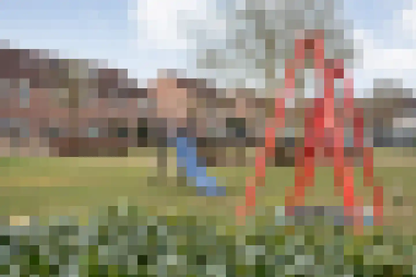 Grasklokje 36 Hardenberg thumbnail 62