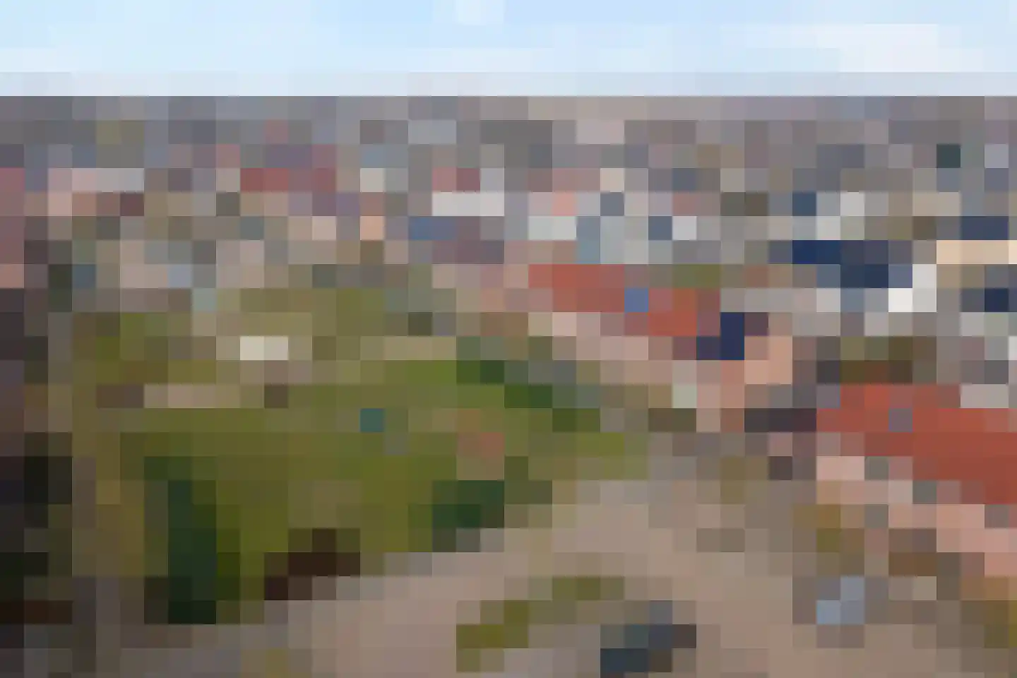 Grasklokje 36 Hardenberg thumbnail 63