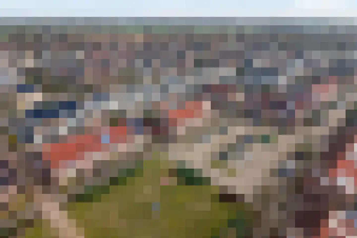 Grasklokje 36 Hardenberg thumbnail 64