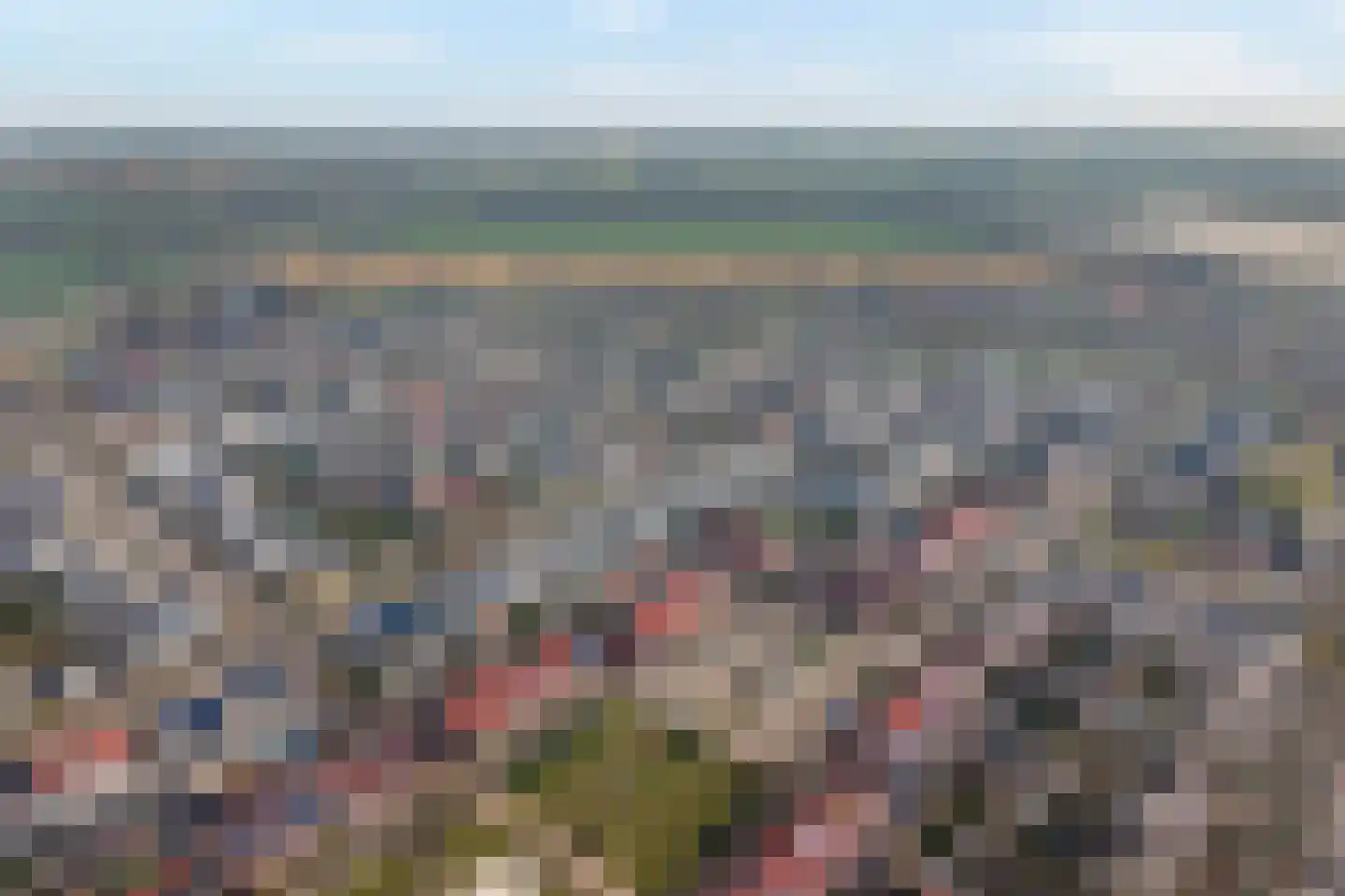 Grasklokje 36 Hardenberg thumbnail 65