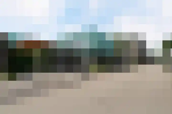 Grasklokje 4 Eindhoven