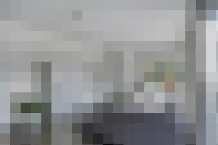 Grasklokje 4 Eindhoven thumbnail 11
