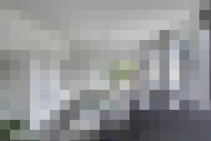 Grasklokje 4 Eindhoven thumbnail 12