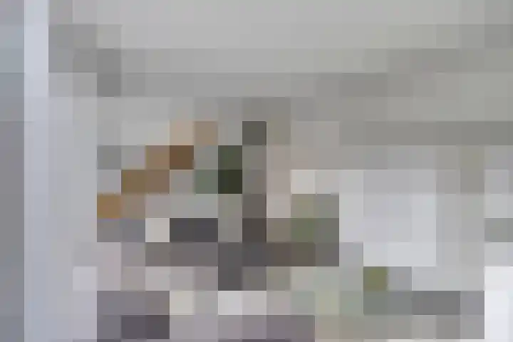 Grasklokje 4 Eindhoven thumbnail 13