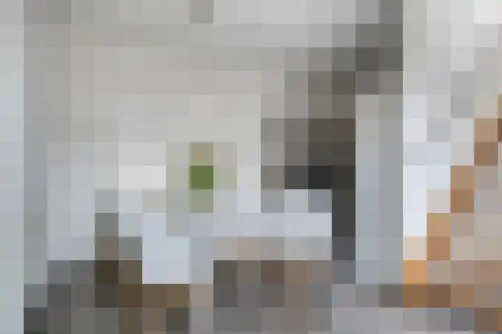 Grasklokje 4 Eindhoven thumbnail 15