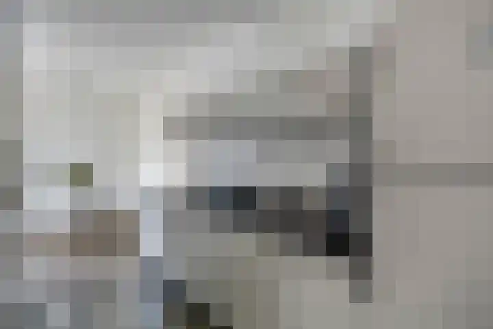 Grasklokje 4 Eindhoven thumbnail 18