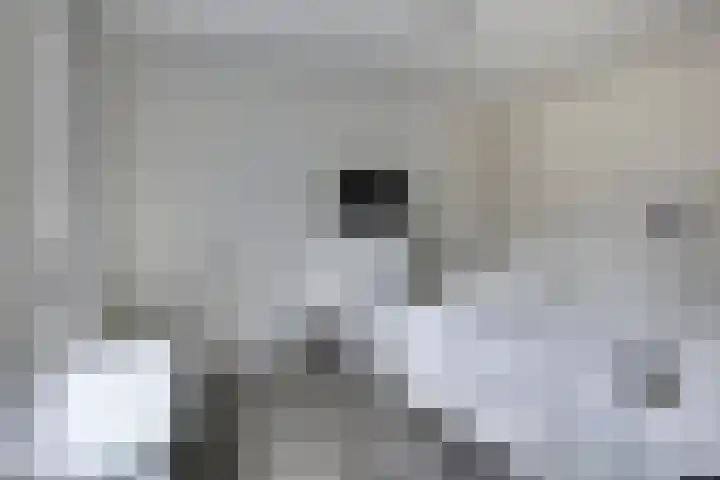 Grasklokje 4 Eindhoven thumbnail 22