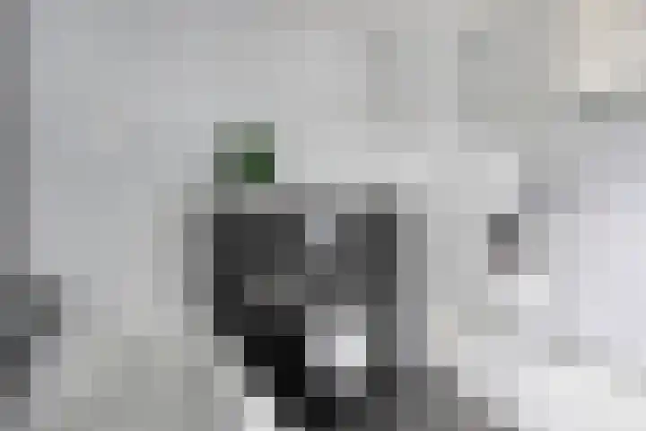 Grasklokje 4 Eindhoven thumbnail 32