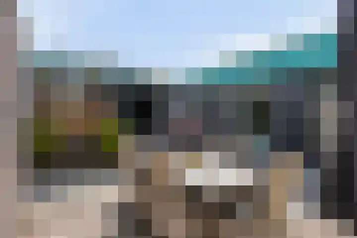 Grasklokje 4 Eindhoven thumbnail 33