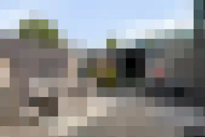 Grasklokje 4 Eindhoven thumbnail 34