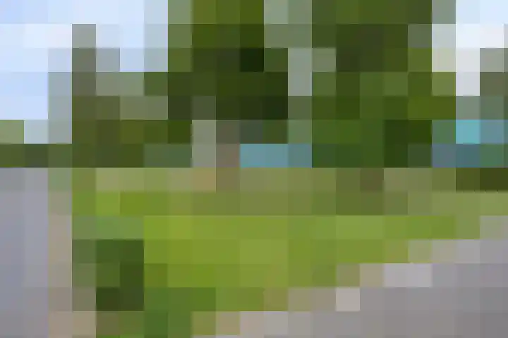 Grasklokje 4 Eindhoven thumbnail 37