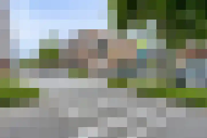 Grasklokje 4 Eindhoven thumbnail 38