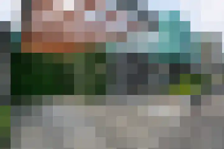 Grasklokje 4 Eindhoven thumbnail 5
