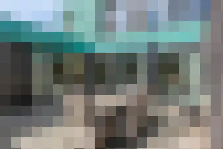 Grasklokje 4 Eindhoven thumbnail 6