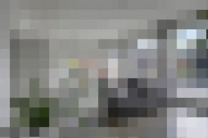 Grasklokje 4 Eindhoven thumbnail 9