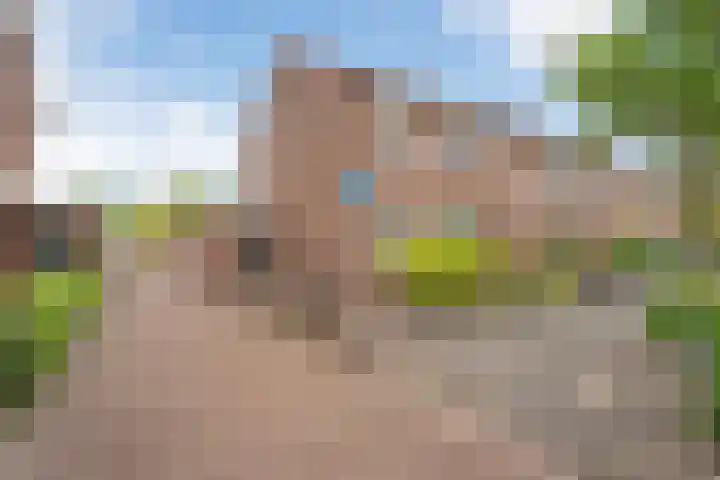 Grasklokje 44 Hardenberg thumbnail 37