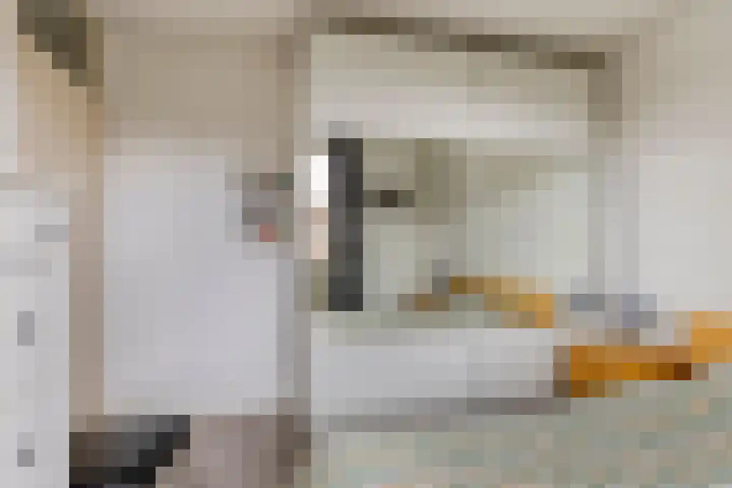 Grasklokje 63 Best thumbnail 21