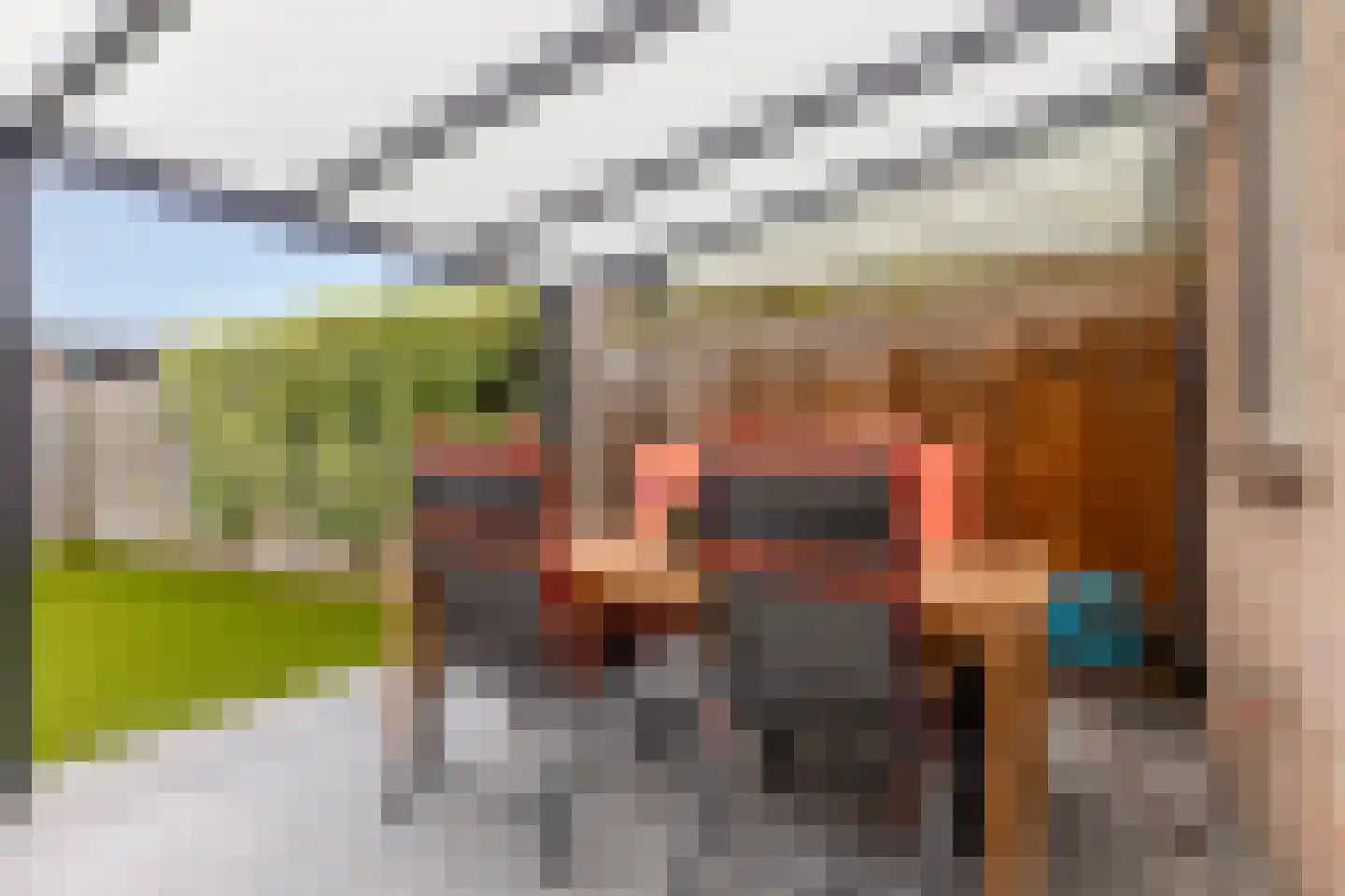 Grasklokje 63 Best thumbnail 33