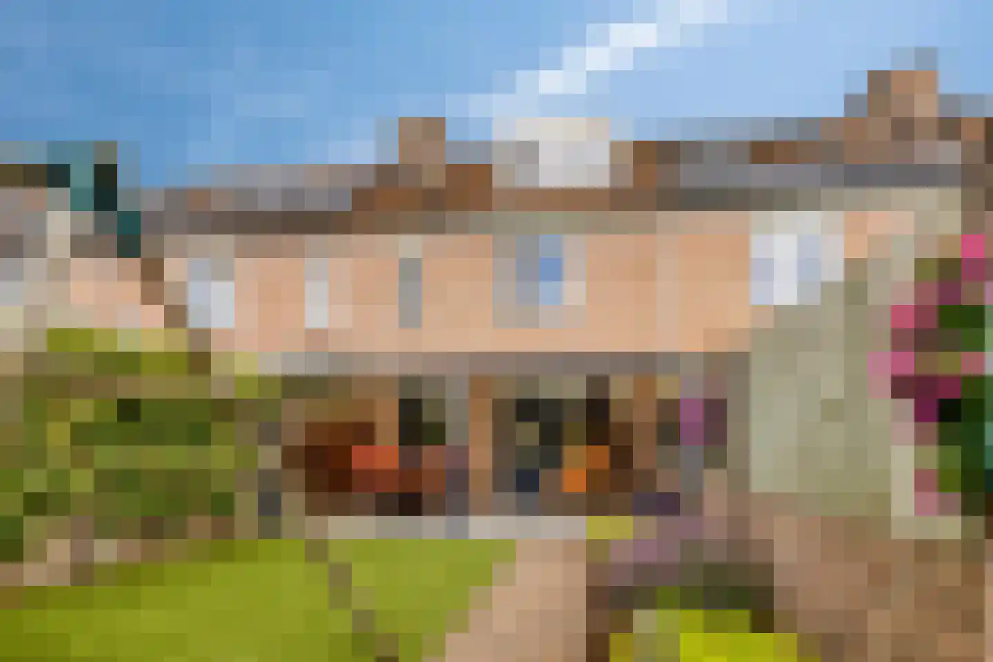 Grasklokje 63 Best thumbnail 37