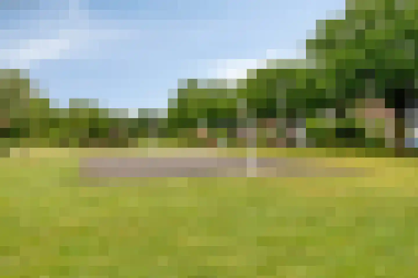 Grasklokje 63 Best thumbnail 39