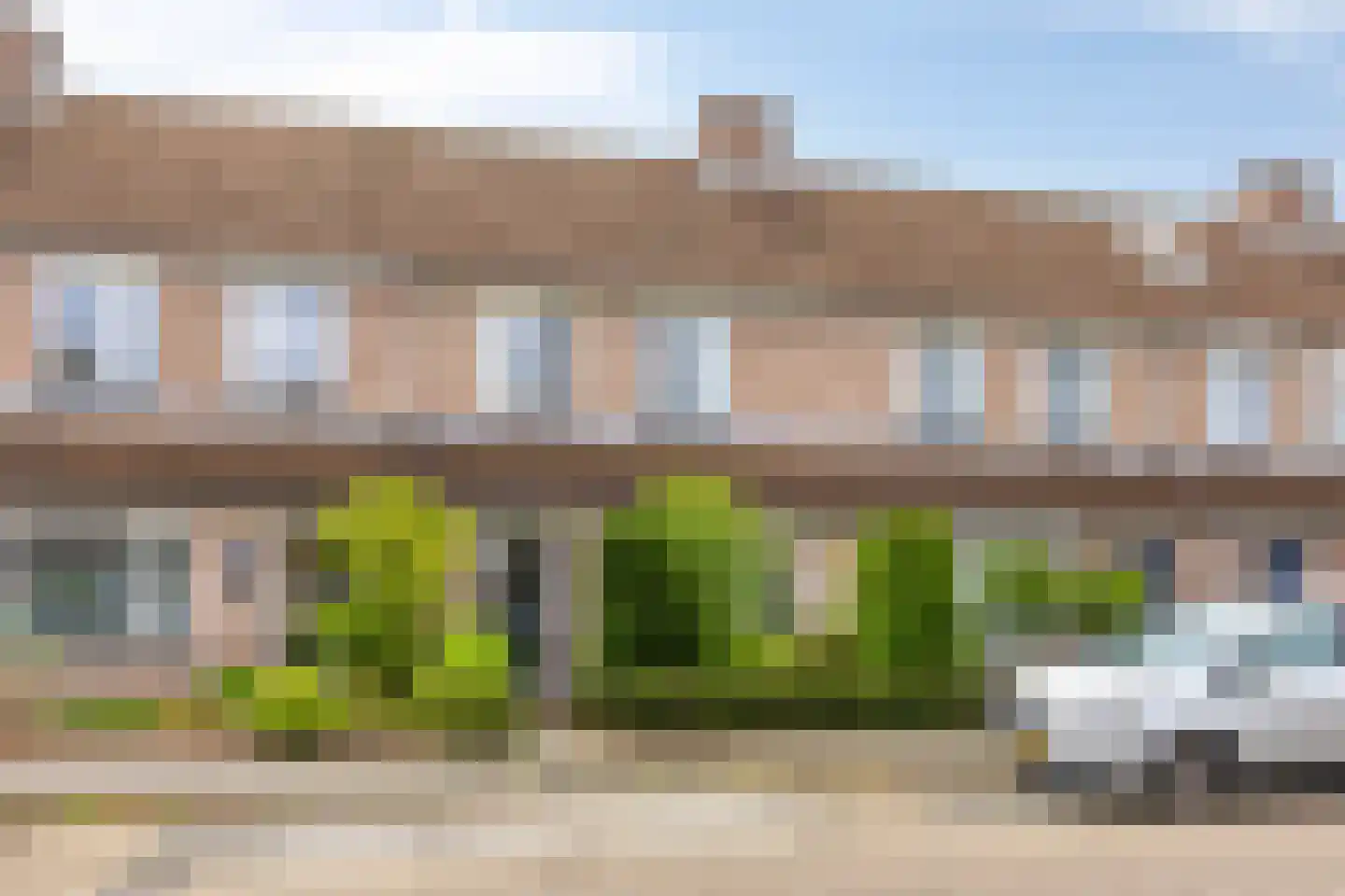 Grasklokje 63 Best thumbnail 4