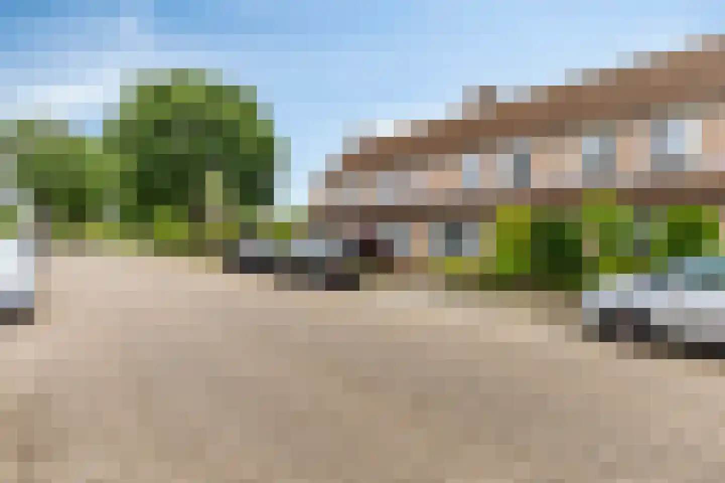 Grasklokje 63 Best thumbnail 41