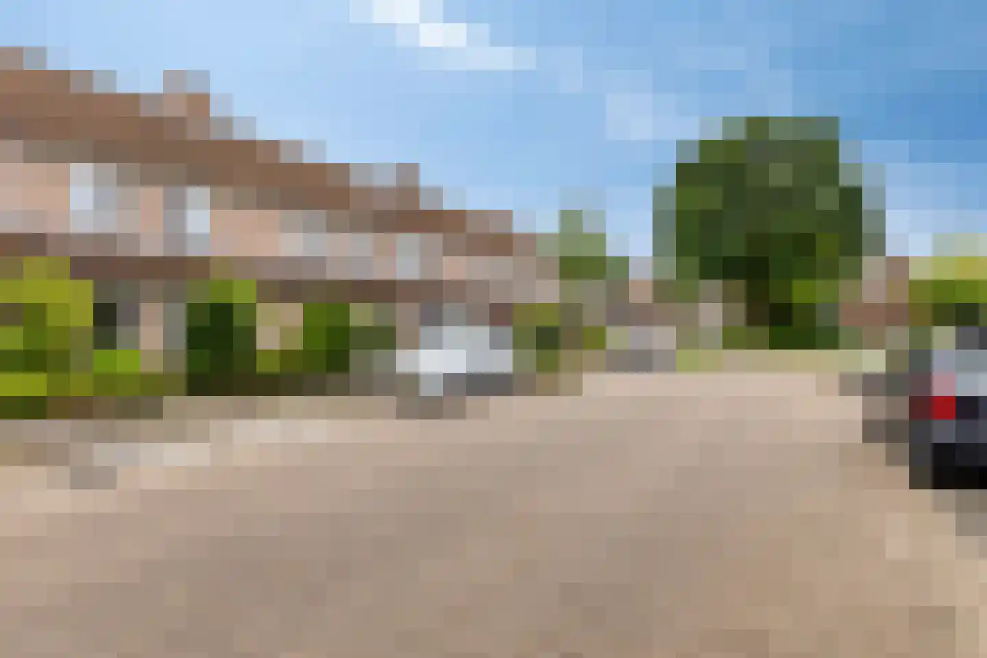 Grasklokje 63 Best thumbnail 5